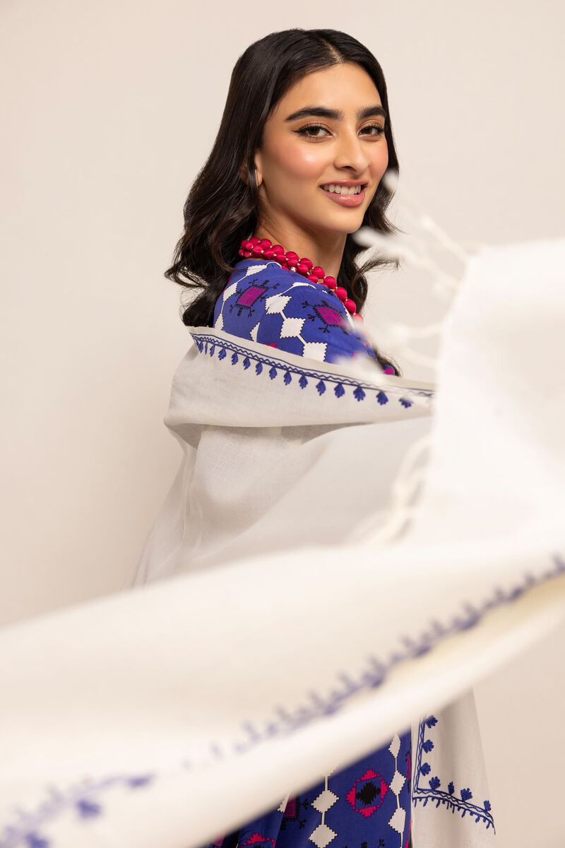 Yarn Dyed Embroidered | Rashmina Acrylic | Shawl | Embroidered | null