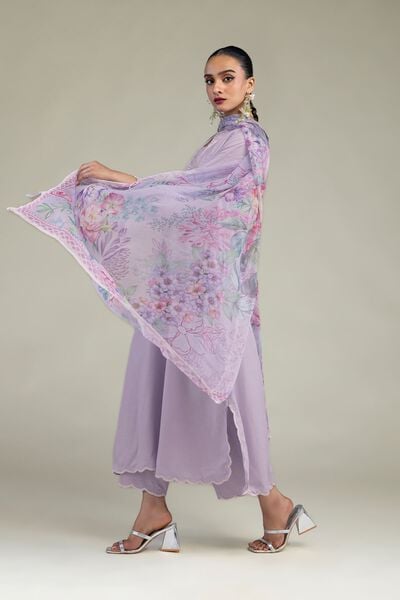 Embroidered | Raw Silk | Silk Solid Pants | GBP 20.00