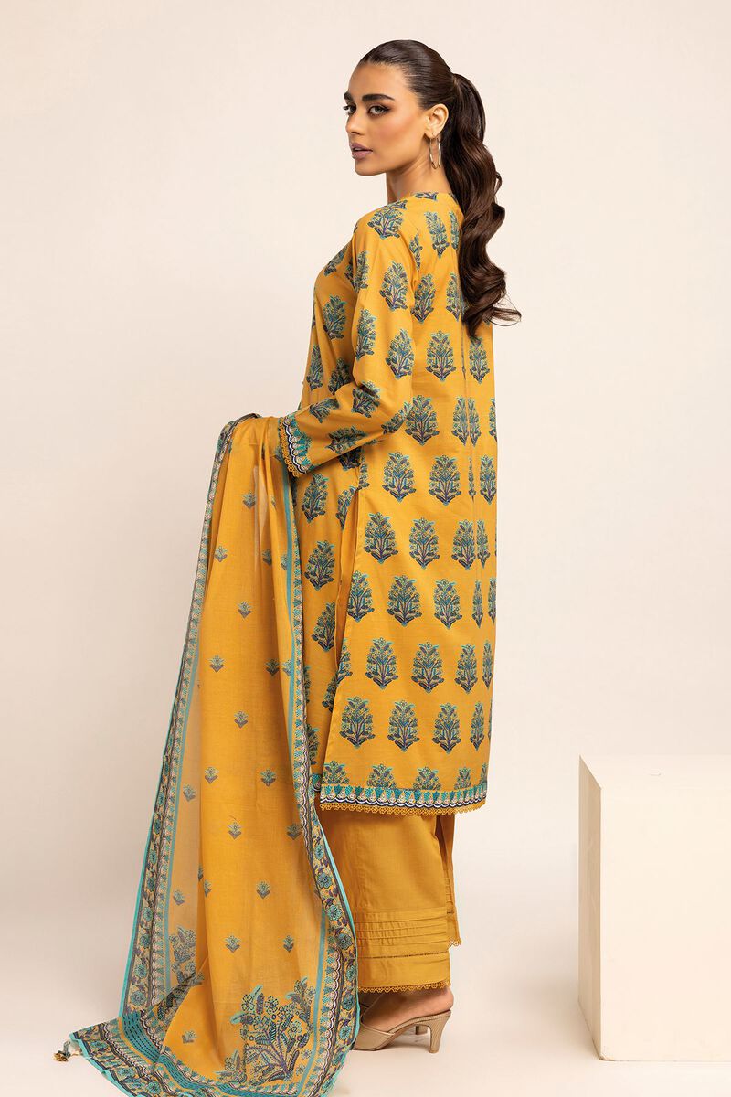 Printed | Cambric | Fabrics 3 Piece | null