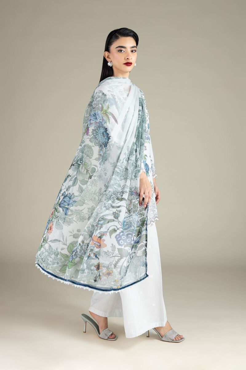 Printed | Chiffon | Dupatta | null