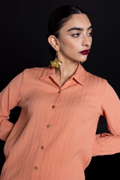 Button Down Shirt