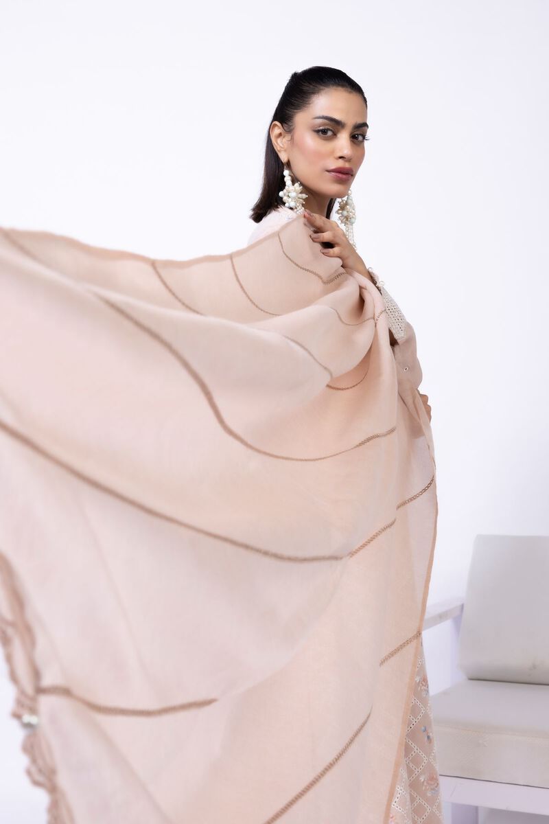 Embroidered | Cotton Reflex Light | Dupatta | null
