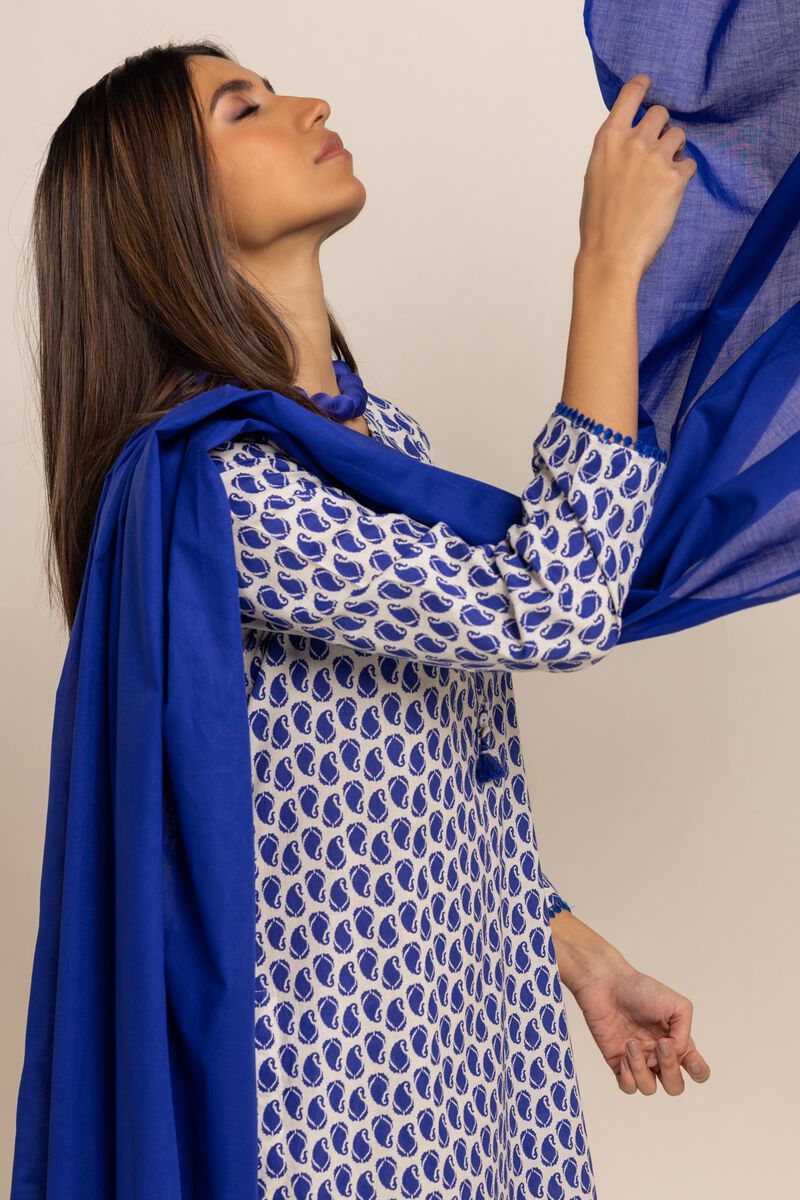 Dyed | Lawn | Dupatta | null