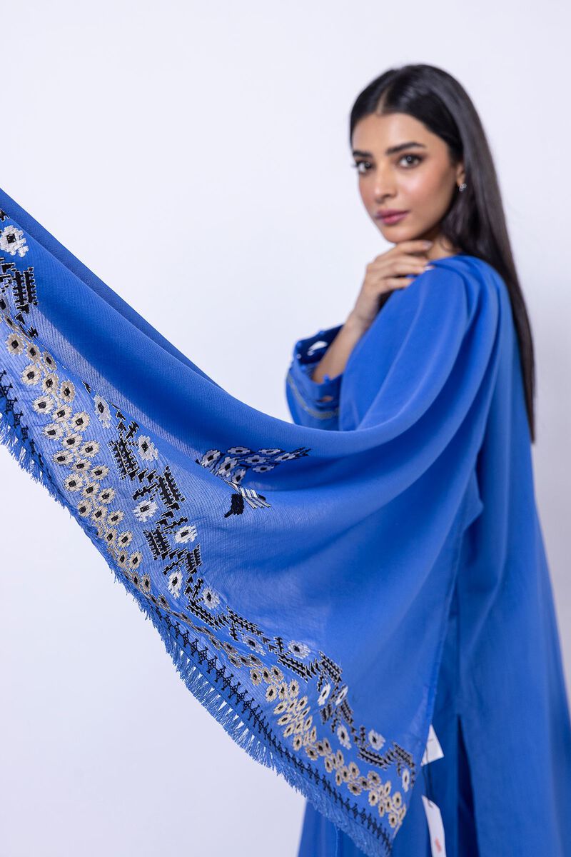 Embroidered | Slub Lawn | Dupatta | null