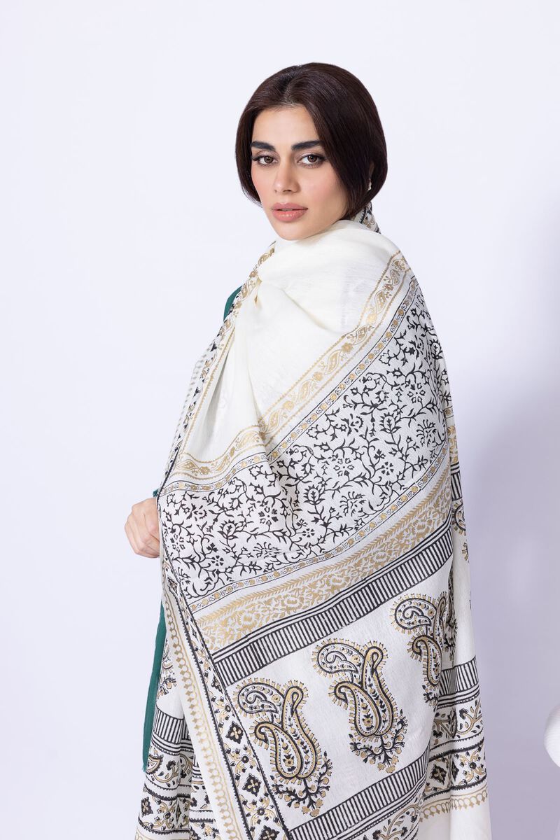 Printed | Rashmina Acrylic | Shawl | null