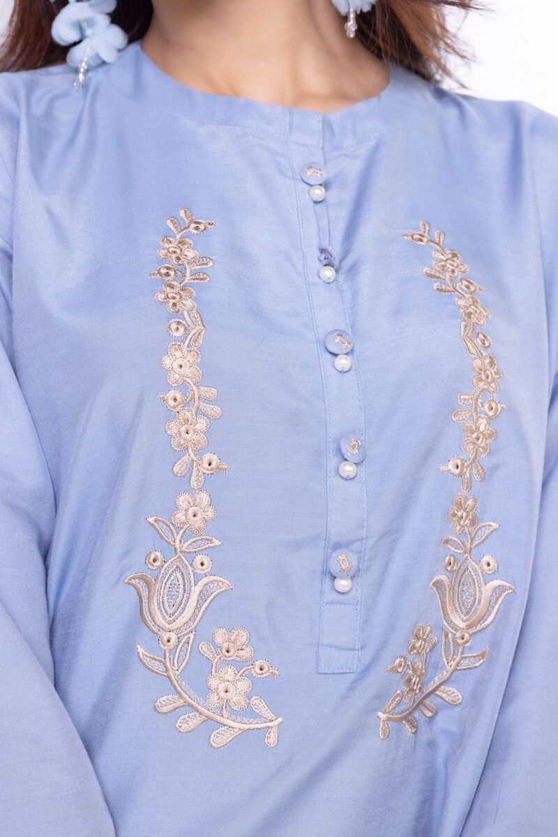 Embroidered | Raw Silk | Kurta | null