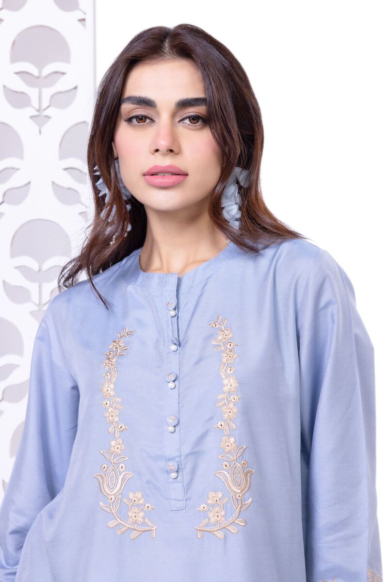 Embroidered | Raw Silk | Kurta | null