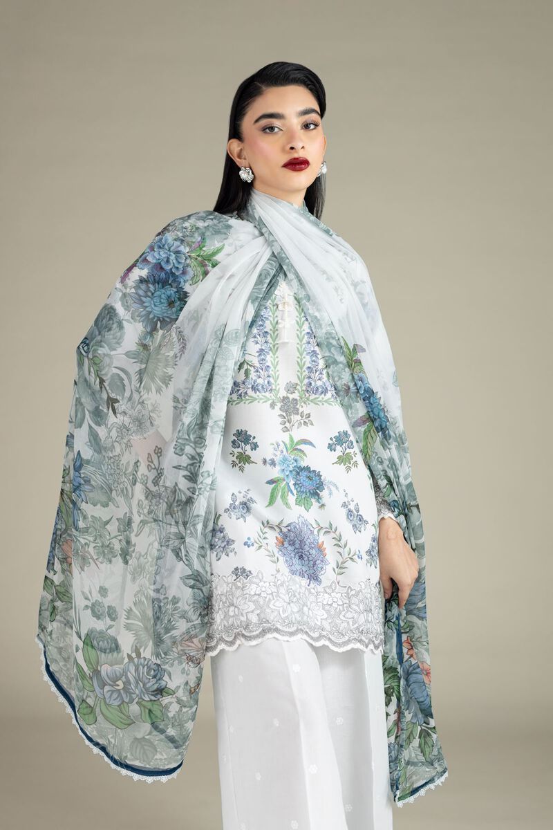 Printed | Chiffon | Dupatta | null