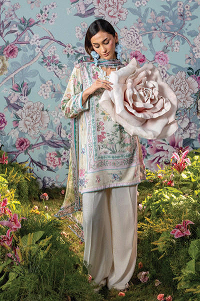 Image here